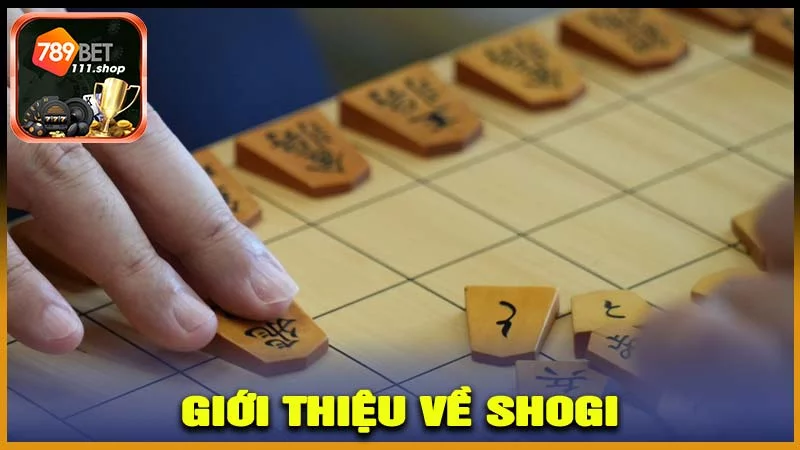 Giới thiệu về Shogi