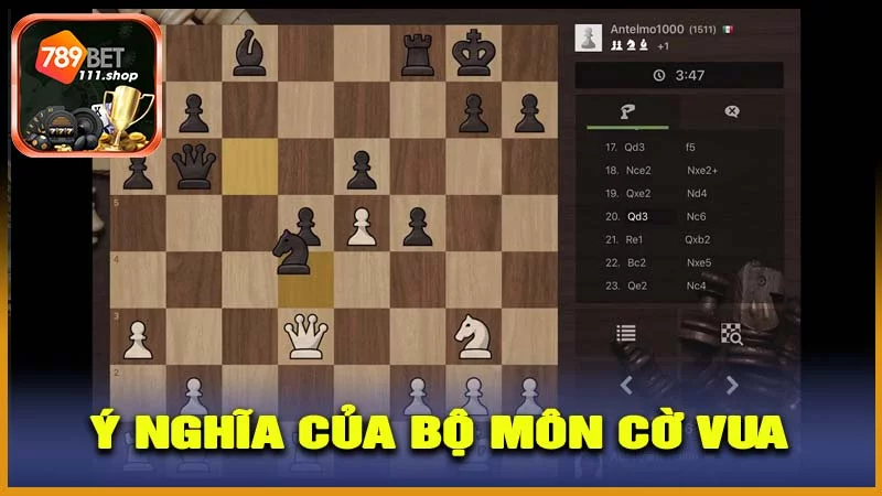 Ý nghĩa của bộ môn cờ vua với phát triển tư duy