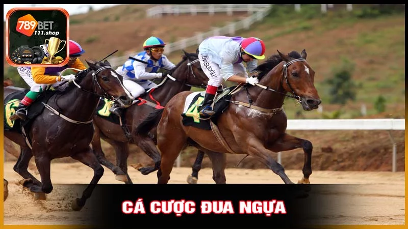 Trường đua ngựa đỉnh cao