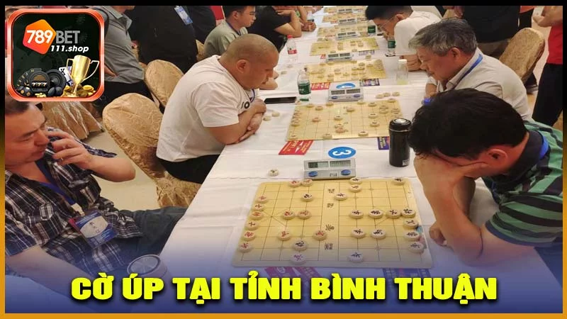 Phong trào cờ úp tại tỉnh Bình Thuận