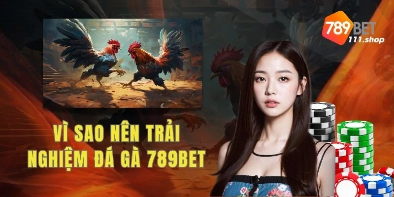 Vì sao nên trải nghiệm đá gà 789BET