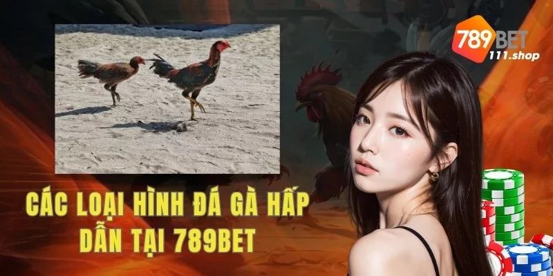 Các loại hình đá gà hấp dẫn tại 789BET