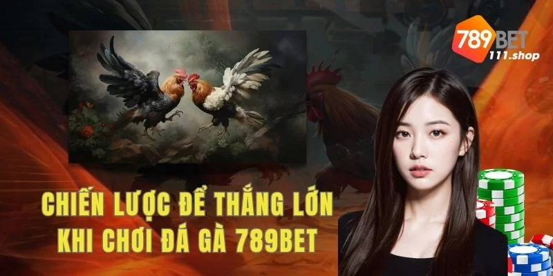 Những mẹo và chiến lược để thắng lớn khi chơi đá gà 789BET