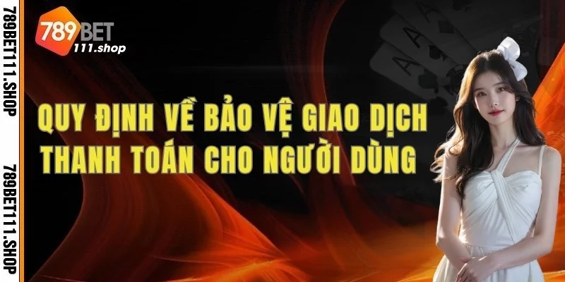 Quy định về bảo vệ giao dịch thanh toán cho người dùng 